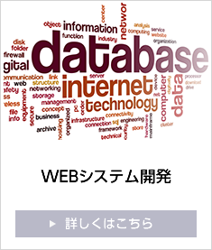 WEBシステム開発